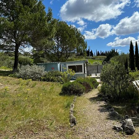 Chambre Tropicale Au Domaine De L'Aven Villeneuve-Minervois Εξωτερικό φωτογραφία